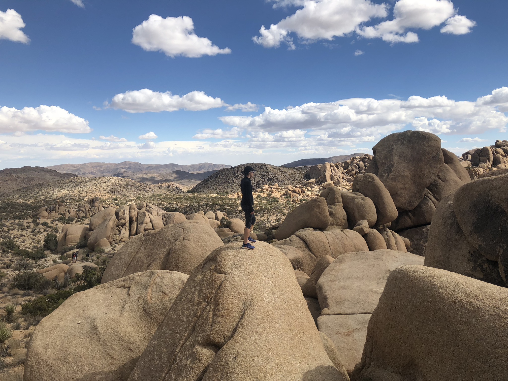 DC widow Marjorie Brimley at Joshua Tree National Park looking into the distance