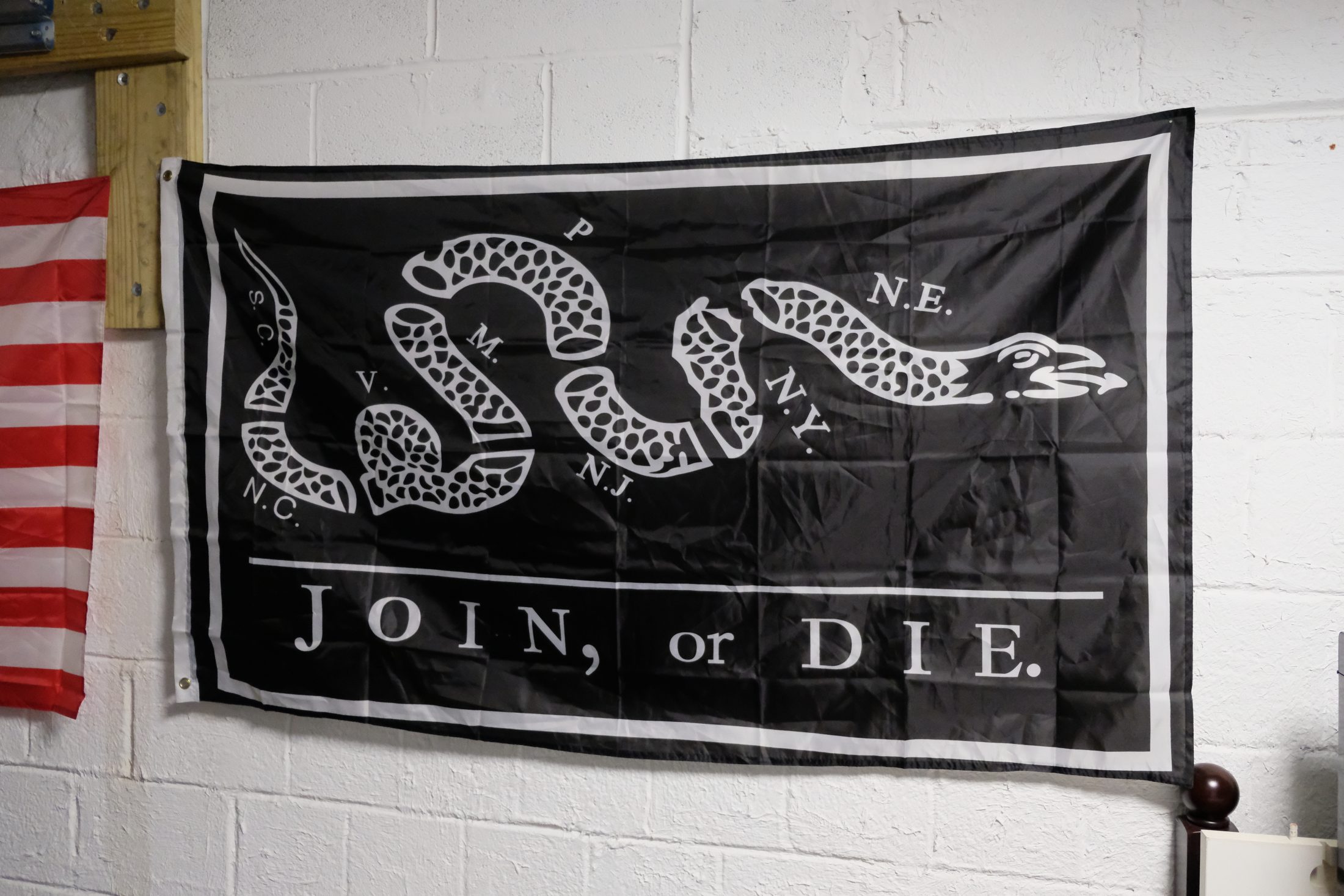 Join or Die banner in DC widow blog writer Marjorie Brimley's house
