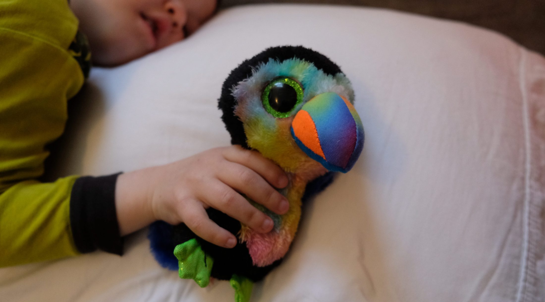 DC widow blog writer Marjorie Brimley's baby holds a stuffed parrot