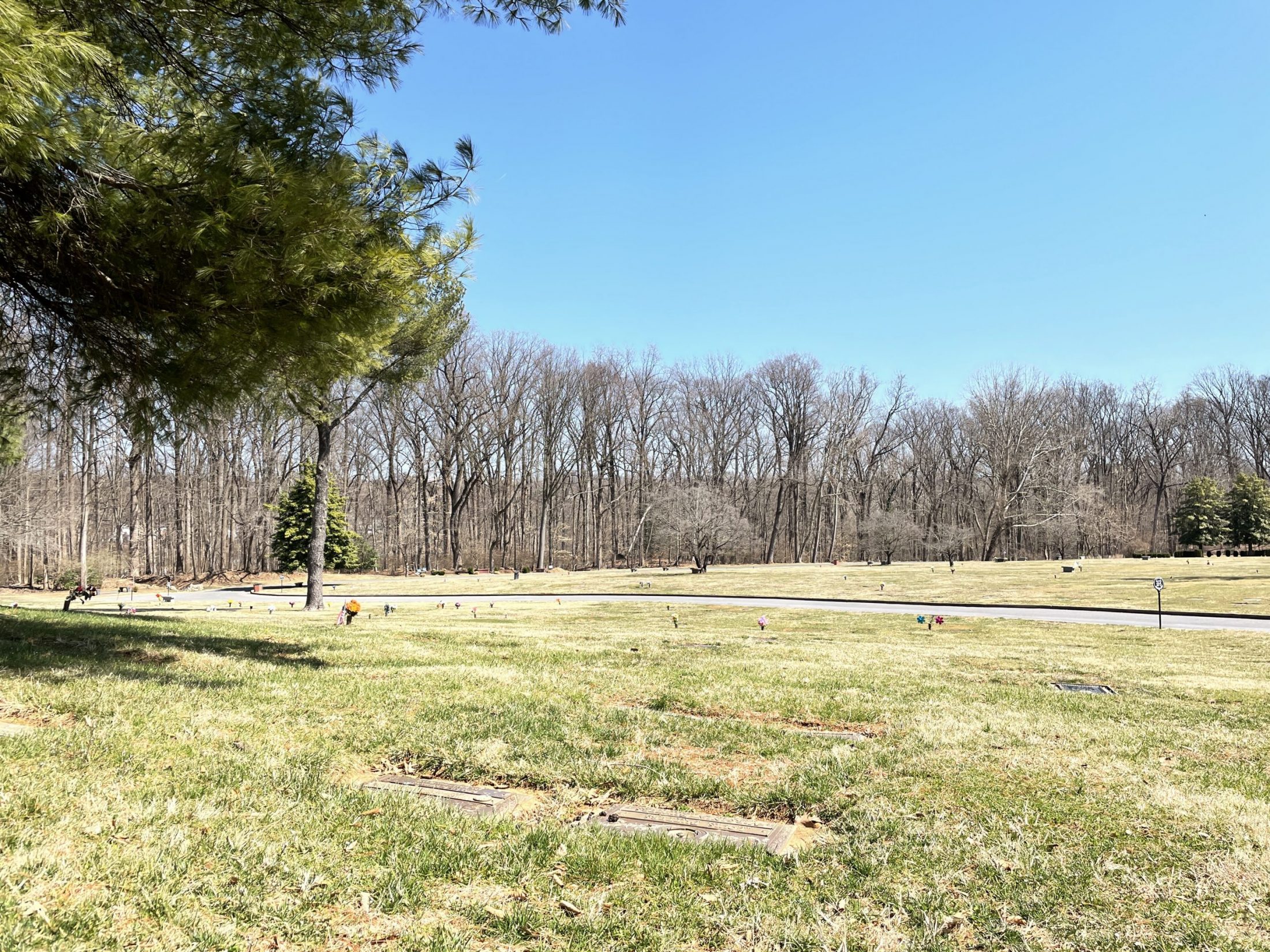 Cemetery where DC widow blog writer Marjorie Brimley buried husband Shawn