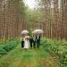 Family of DC widow blog writer Marjorie Brimley Hale walks in woods on wedding day