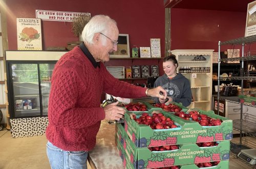 Grandpa Tom buys strawberries for blog by DC widow writer Marjorie Brimley Hale