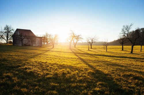 Farmhouse for blog by DC widow writer Marjorie Brimley Hale